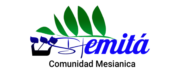 Kehilat Shemitá